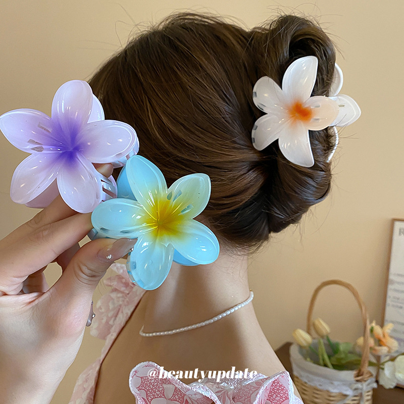 Travel Accessories Hong Kong - Pinces à cheveux en acrylique à